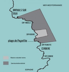 Réserve naturelle de Cerbère-Banyuls - plan